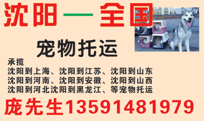 長途汽車網(wǎng)